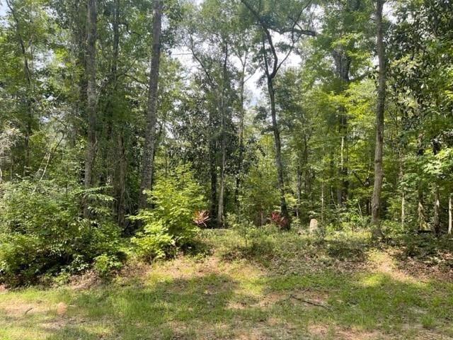 Lot 14 Crestwood Drive, Tallahassee, Florida image 3