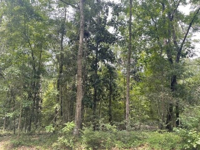 Lot 14 Crestwood Drive, Tallahassee, Florida image 5