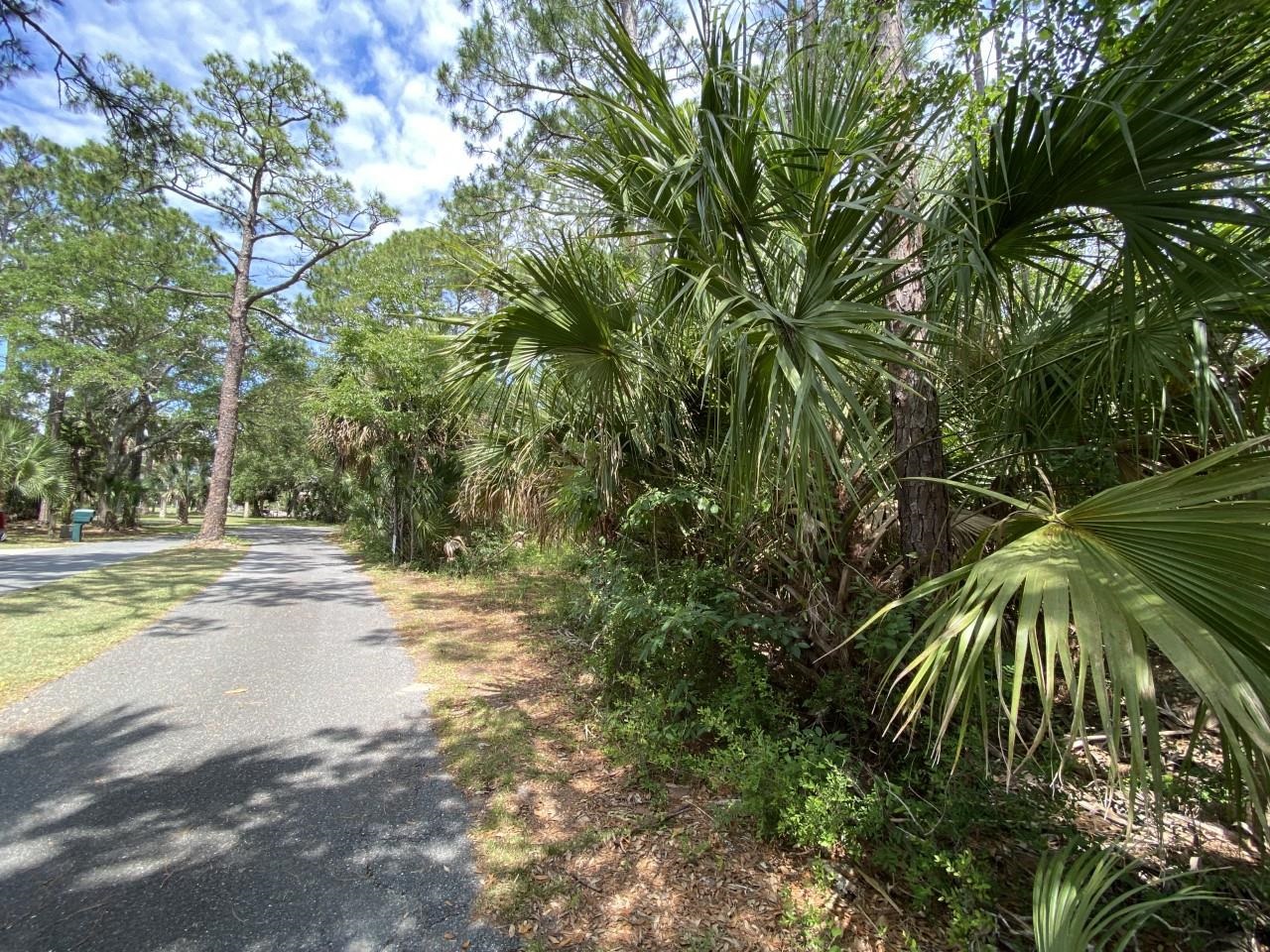 Xxx Carrol Drive, Crawfordville, Florida image 3