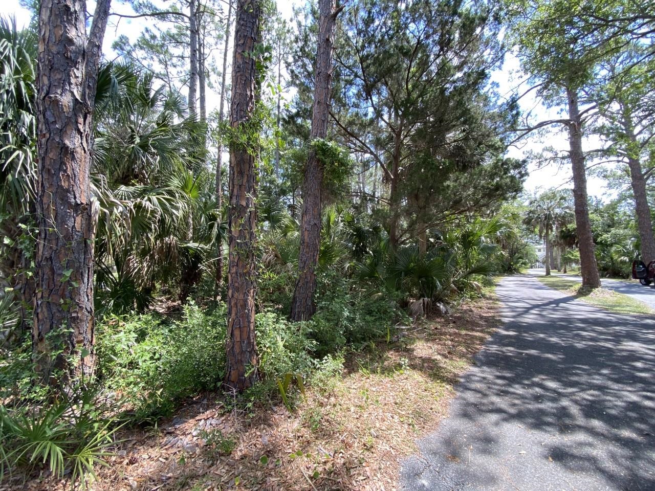 Xxx Carrol Drive, Crawfordville, Florida image 5