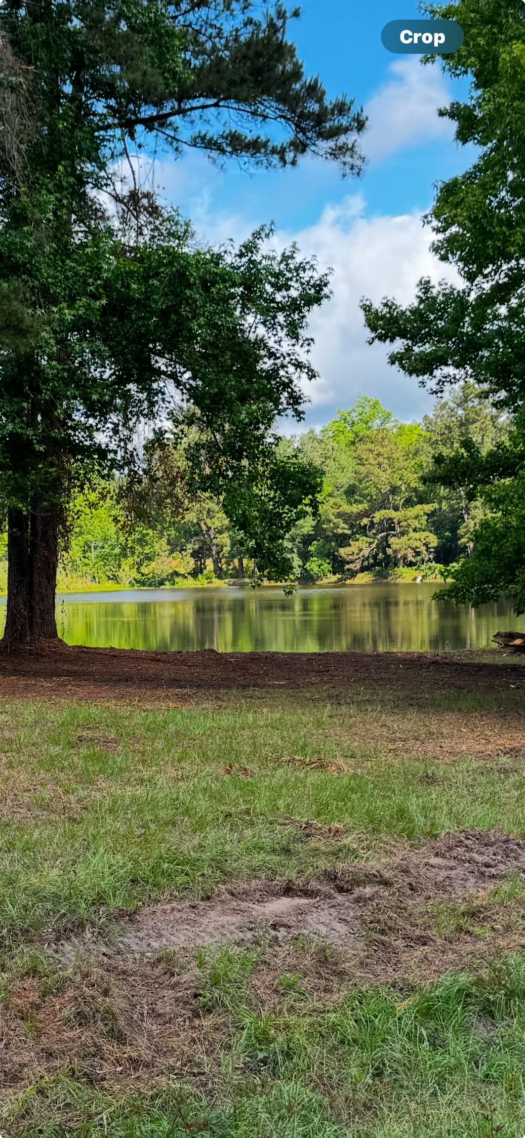 13 Raven Run, Havana, Florida image 10