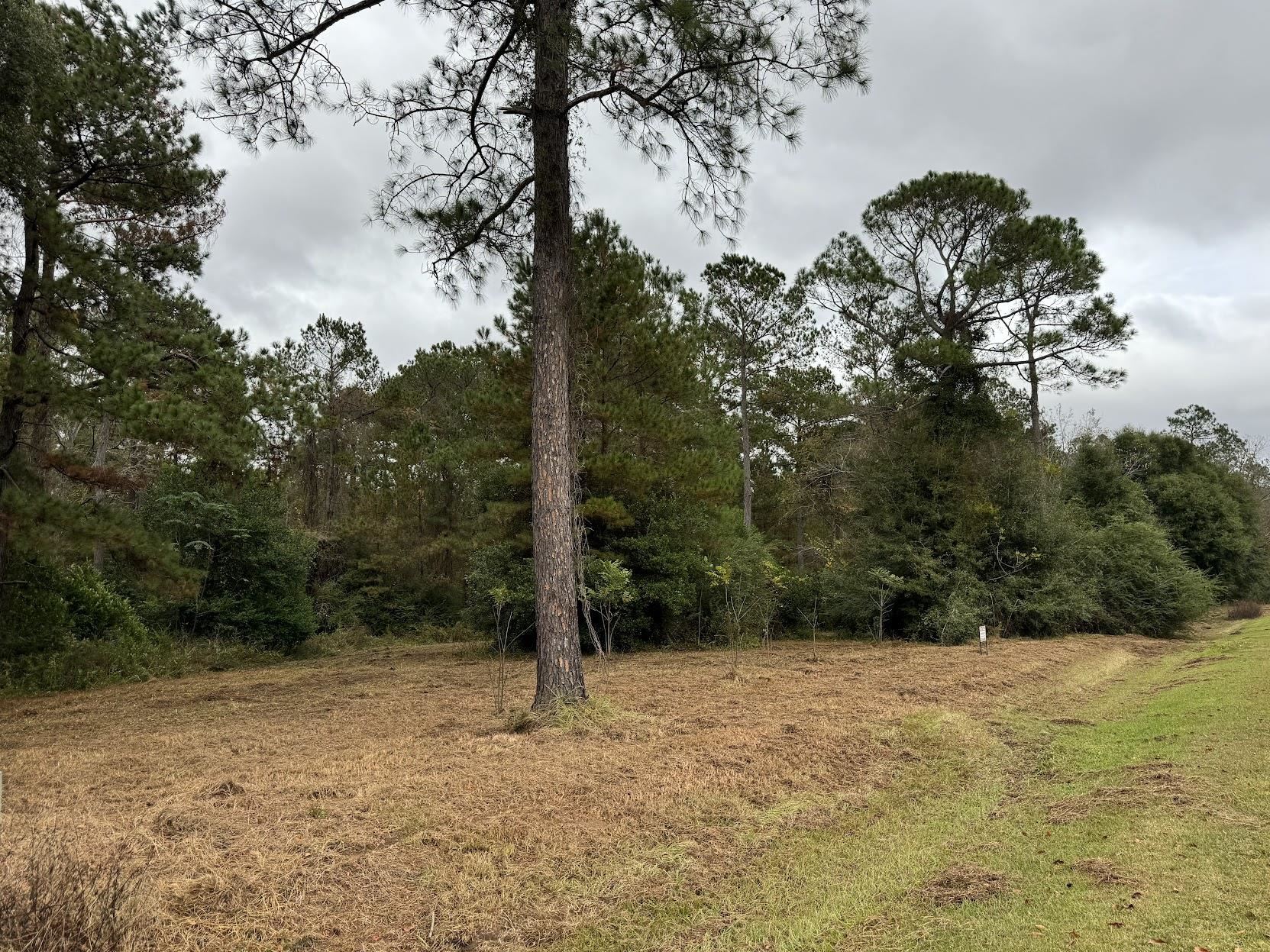 13 Raven Run, Havana, Florida image 11