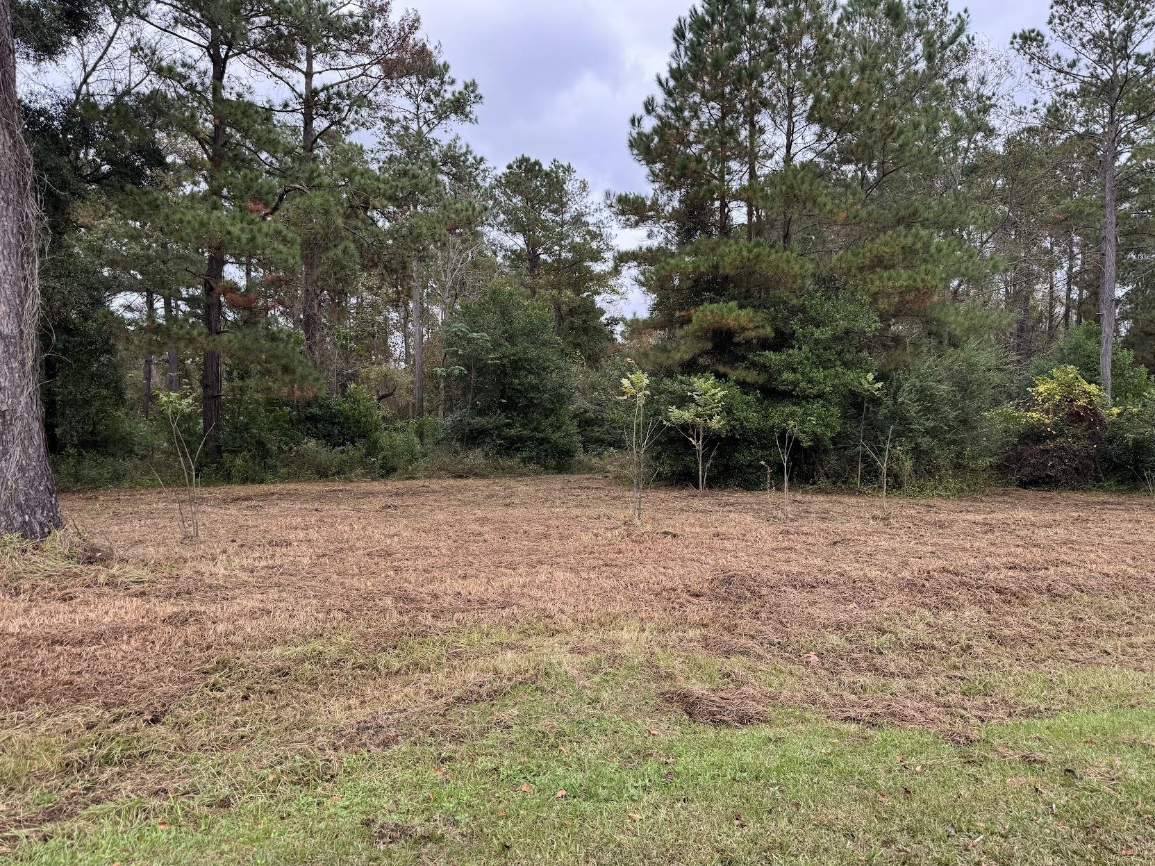 13 Raven Run, Havana, Florida image 12