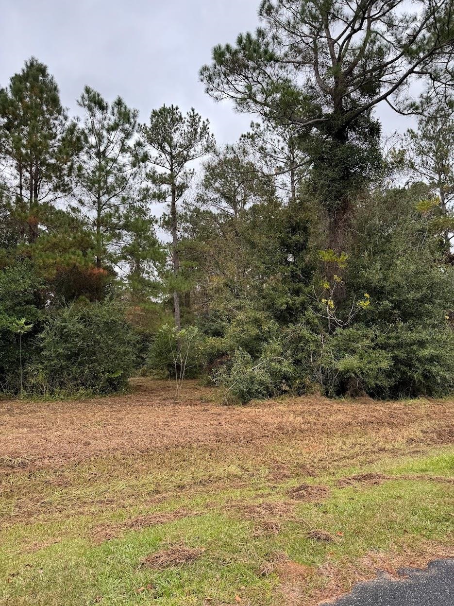 13 Raven Run, Havana, Florida image 14