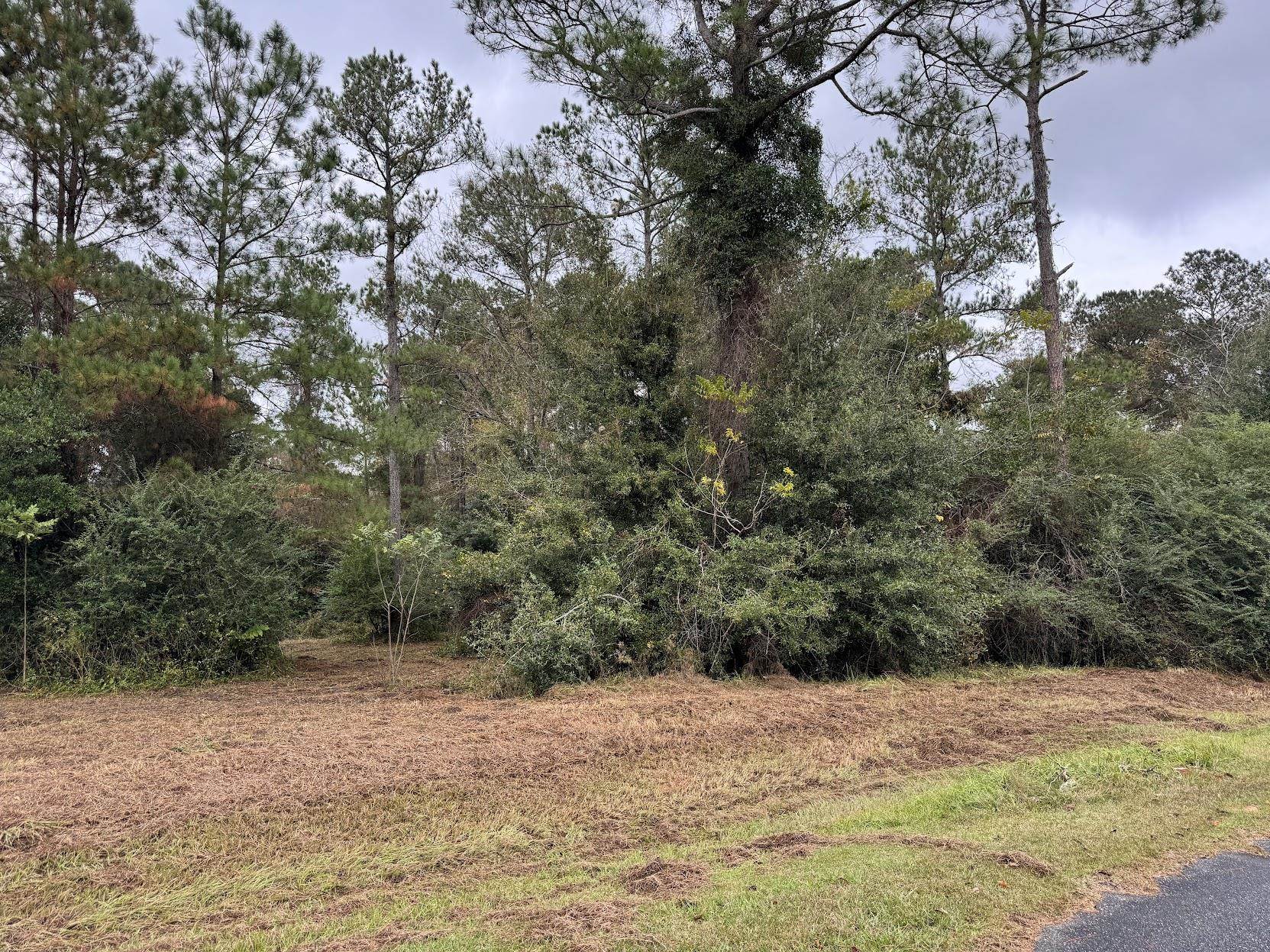 13 Raven Run, Havana, Florida image 15