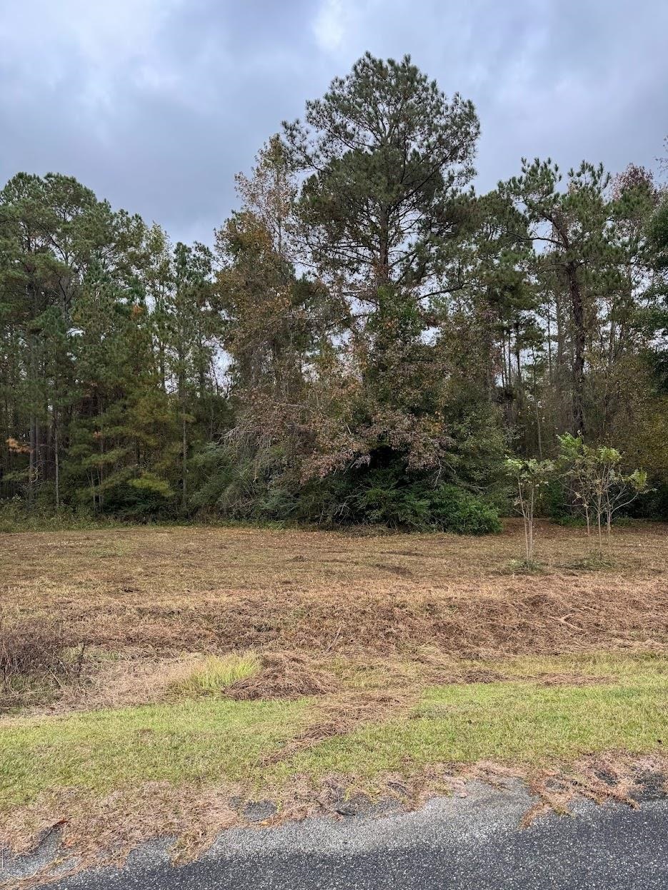 13 Raven Run, HAVANA, Florida image 16