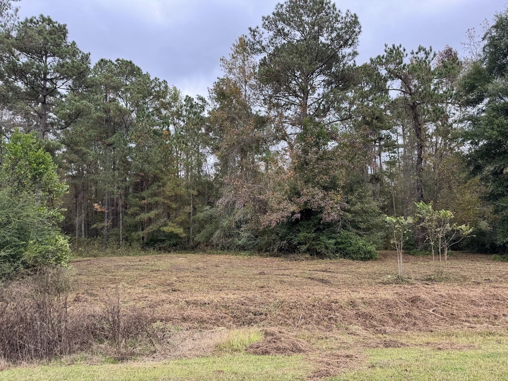 13 Raven Run, Havana, Florida image 17