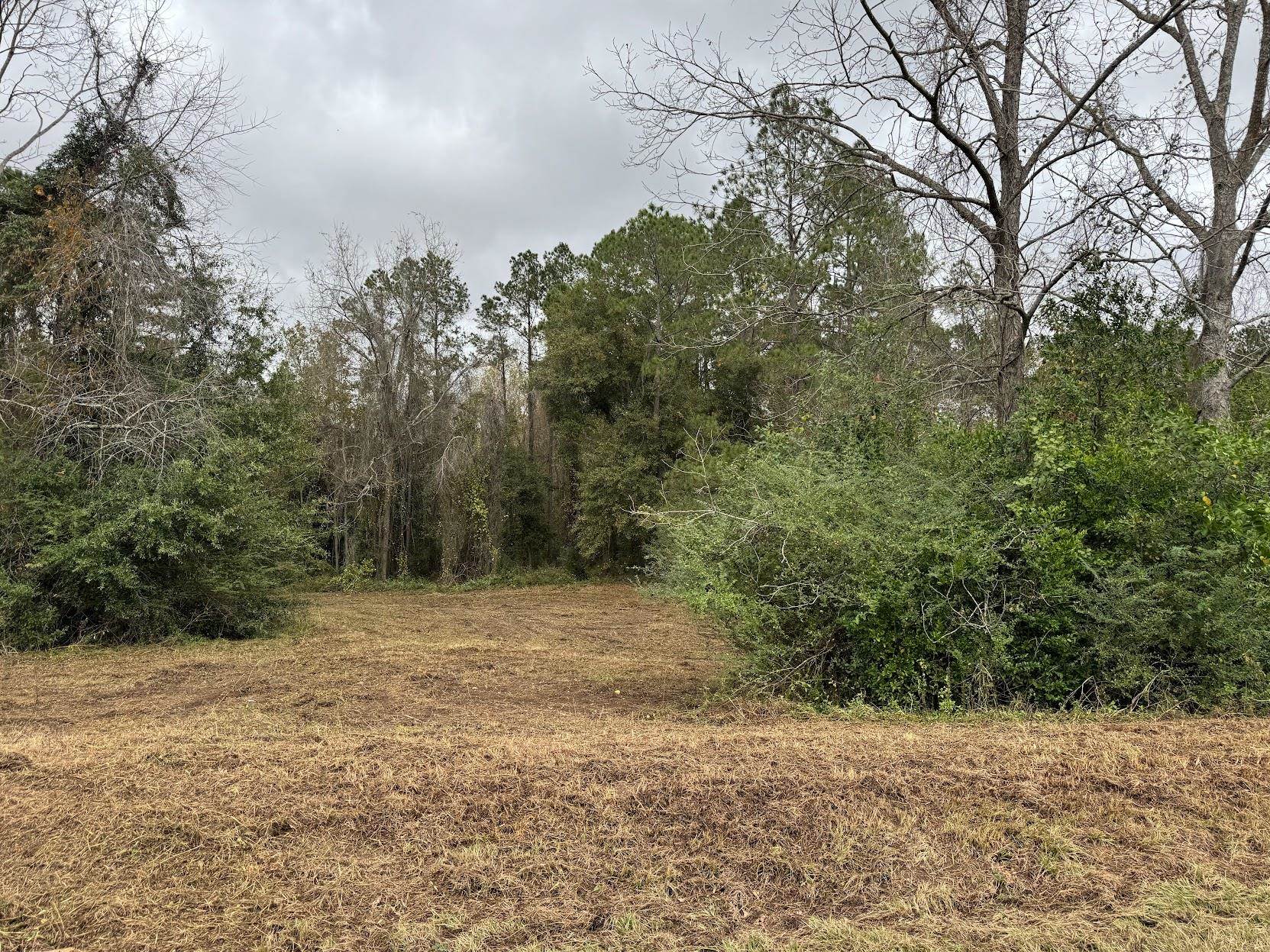 13 Raven Run, Havana, Florida image 18