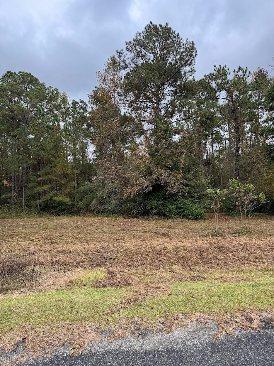 13 Raven Run, Havana, Florida image 19