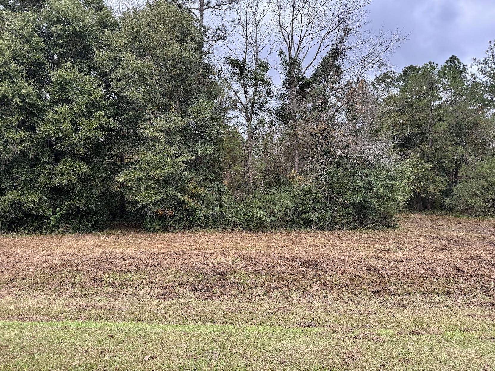 13 Raven Run, Havana, Florida image 20