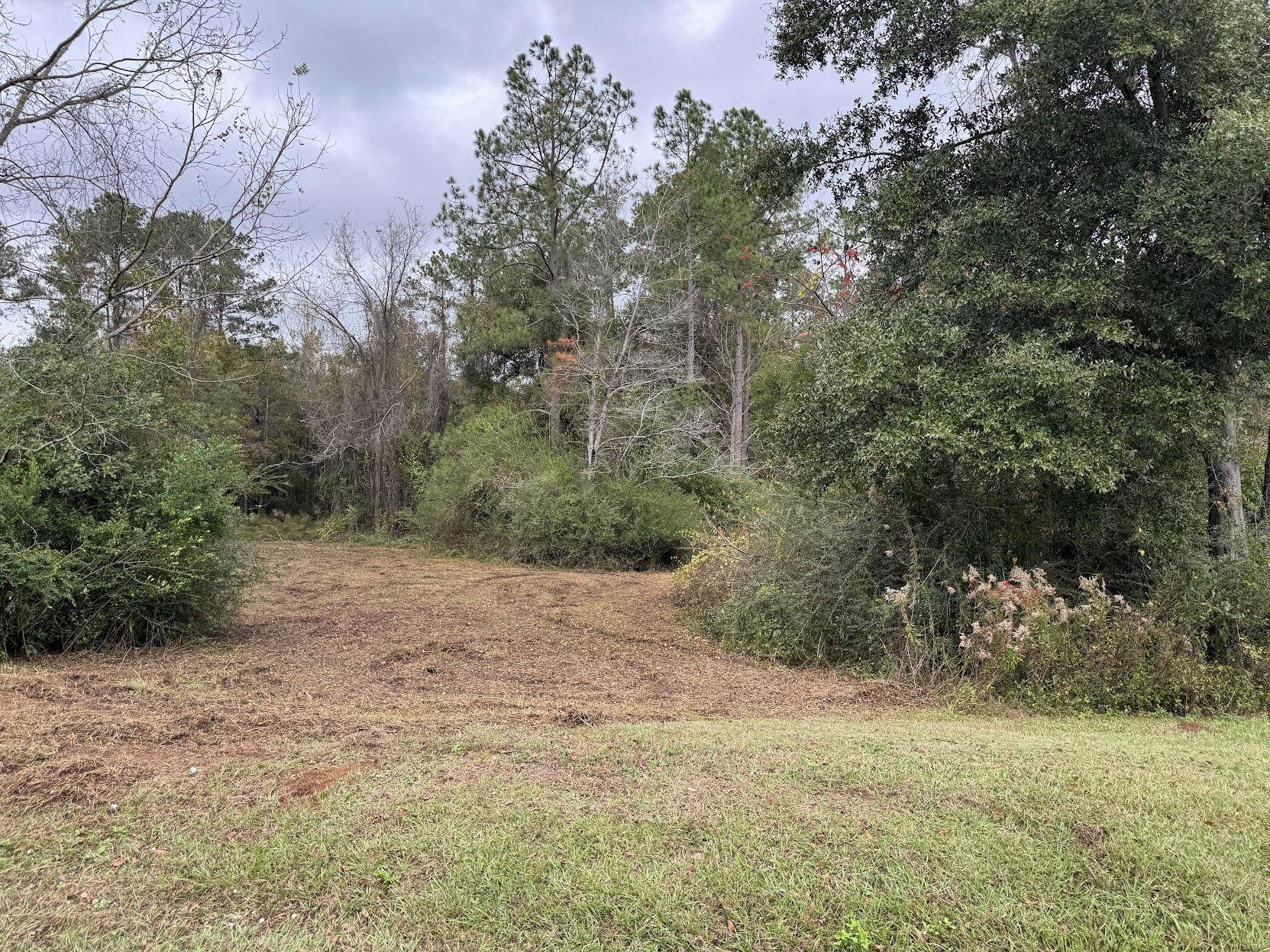 13 Raven Run, Havana, Florida image 22