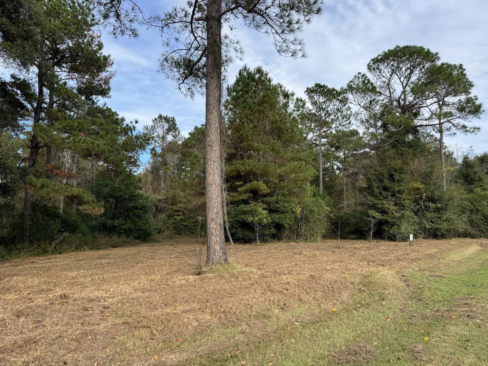 13 Raven Run, Havana, Florida image 23