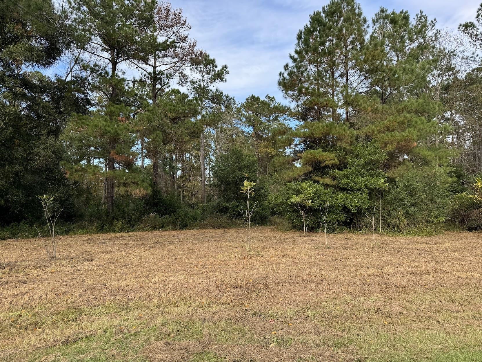 13 Raven Run, Havana, Florida image 24