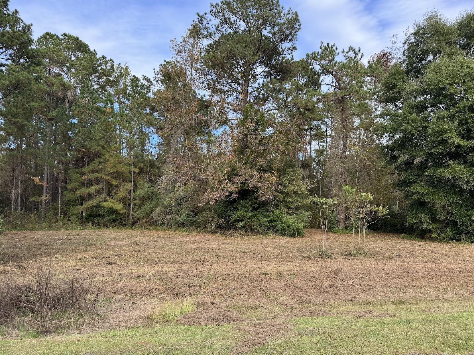 13 Raven Run, Havana, Florida image 27