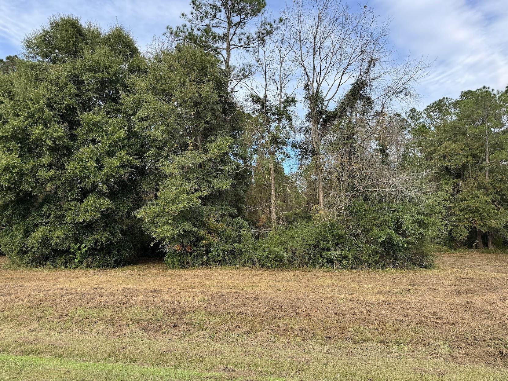 13 Raven Run, Havana, Florida image 28