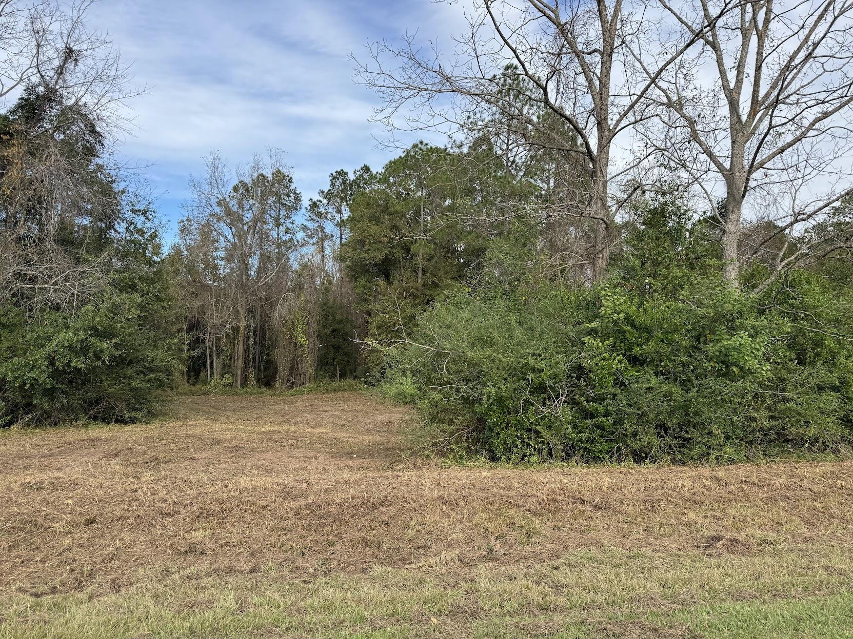 13 Raven Run, Havana, Florida image 29