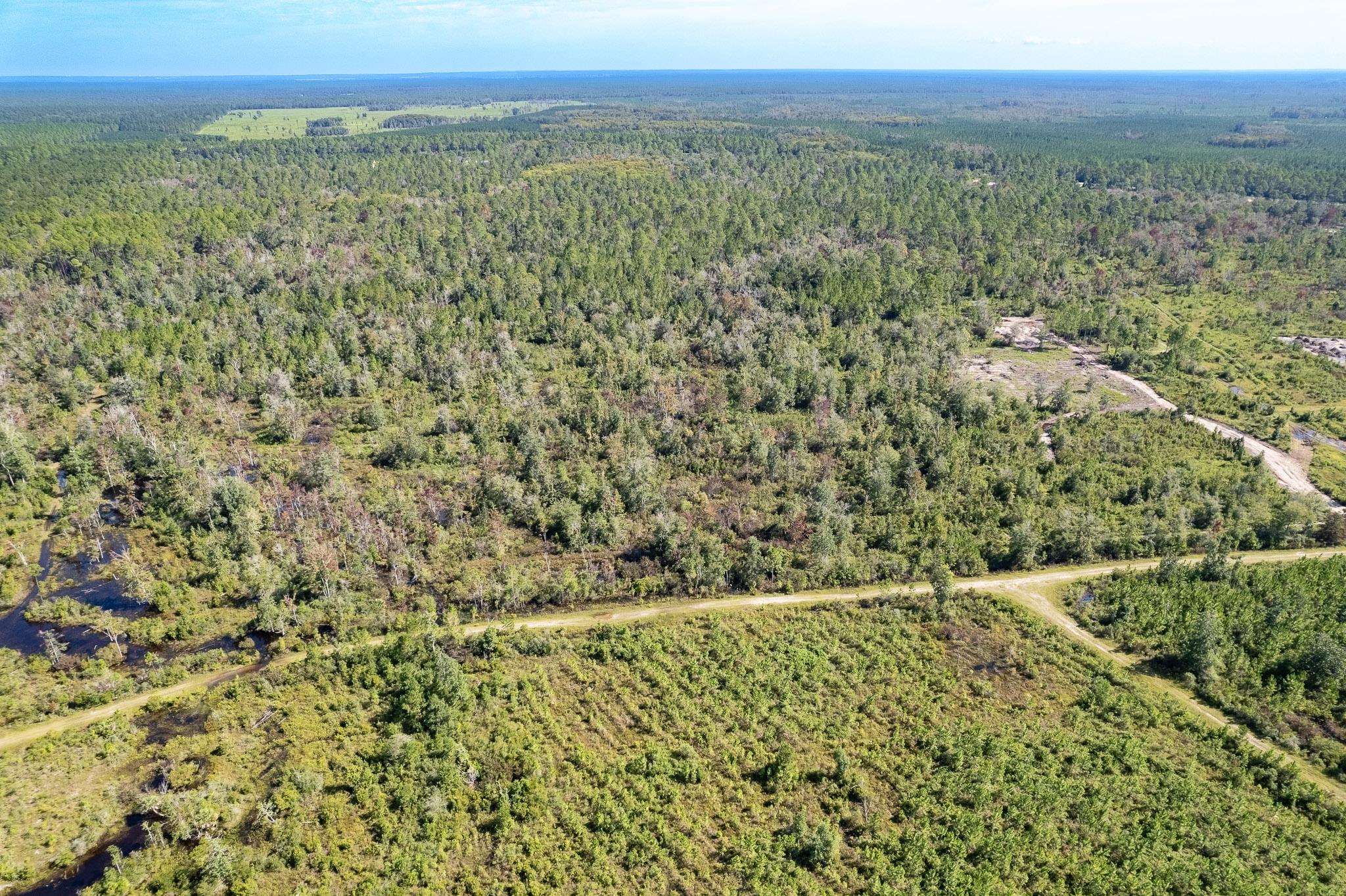 Lot 14 Rock Crusher Road, Crawfordville, Florida image 2