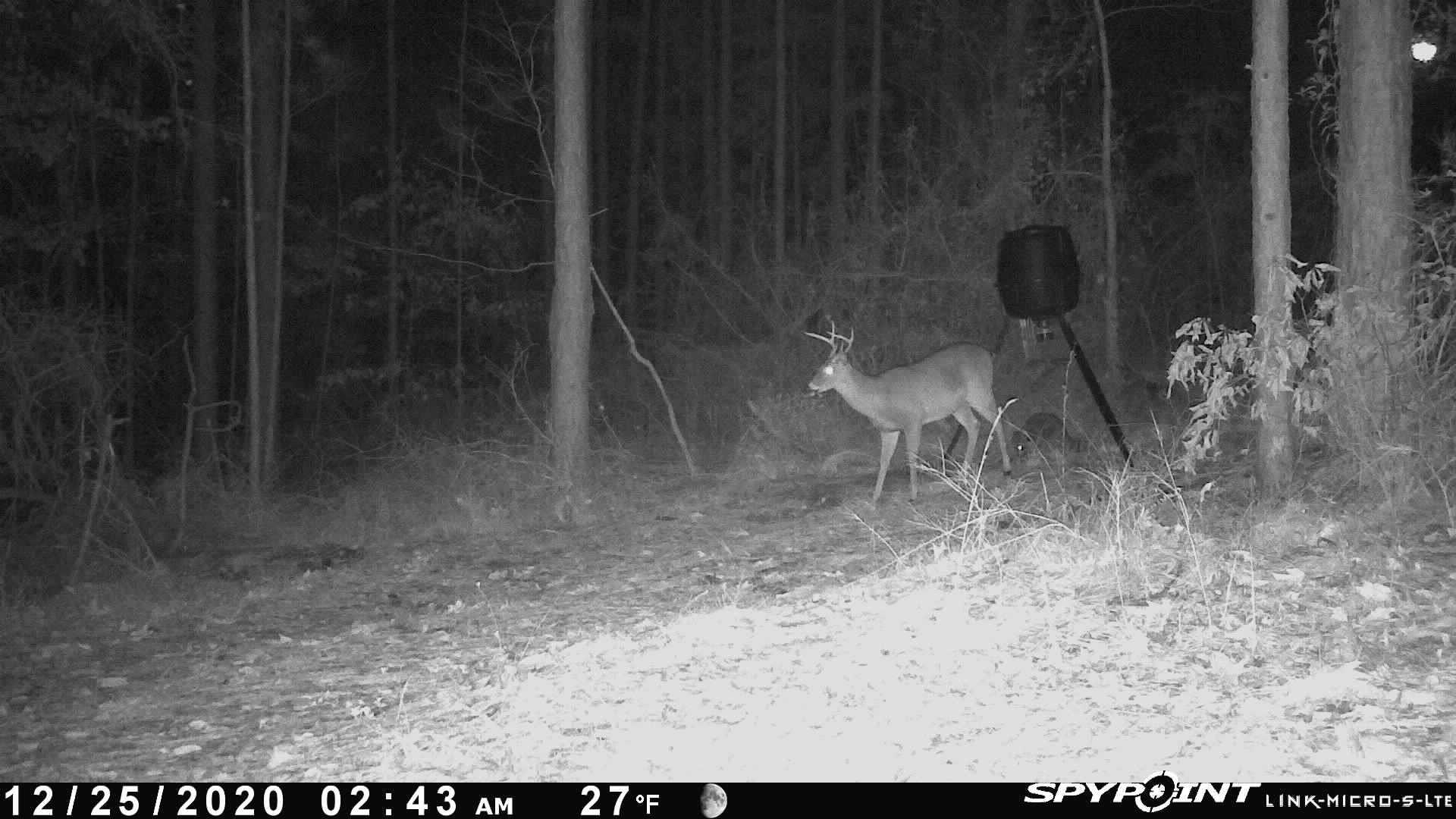 TBD Jinks Crossing Road, Bainbridge, Georgia image 37