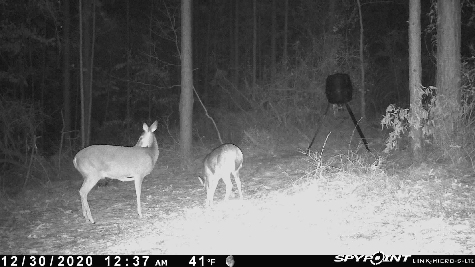 TBD Jinks Crossing Road, Bainbridge, Georgia image 38