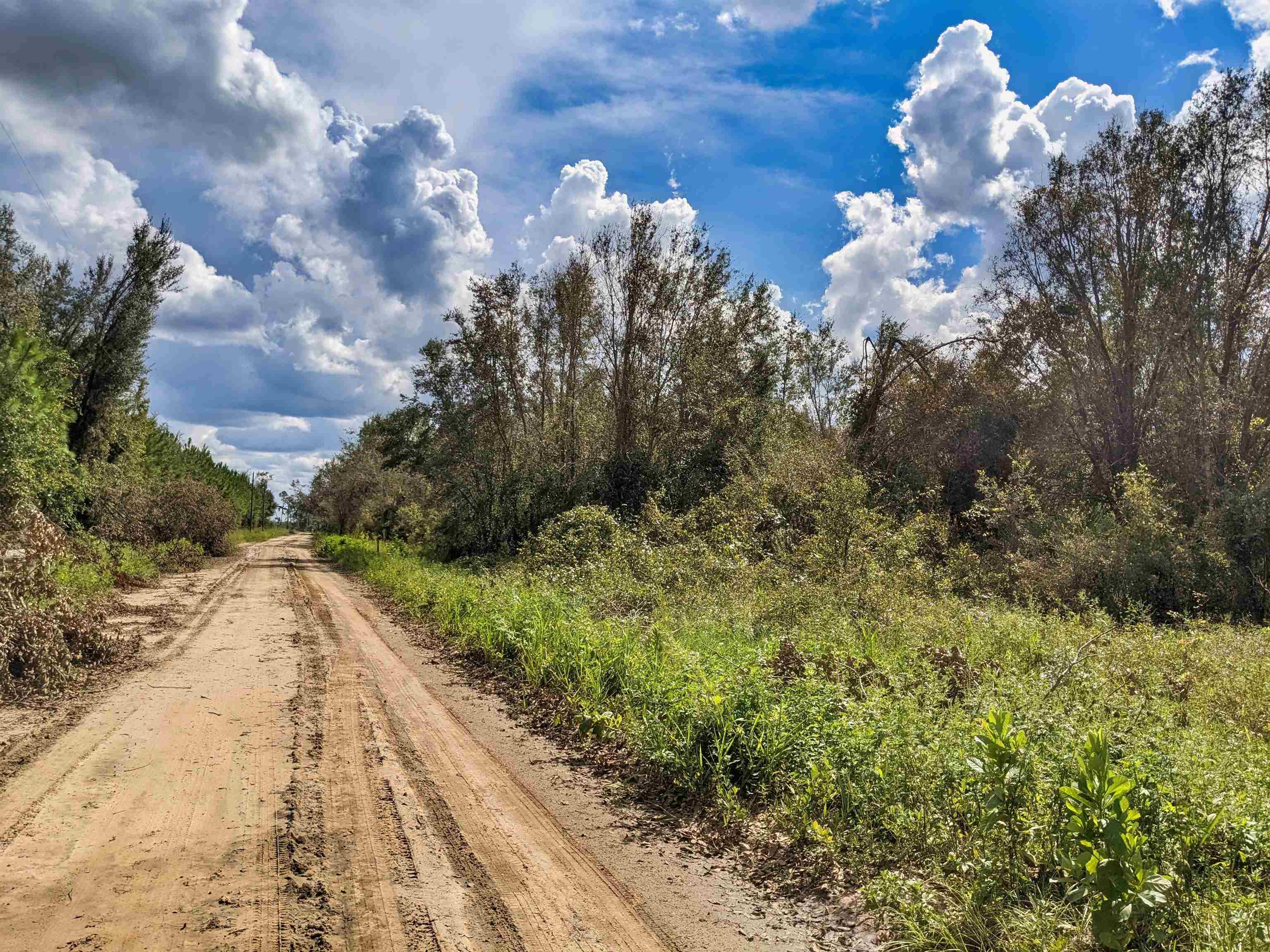 SE Kachina Avenue, LEE, Florida image 13