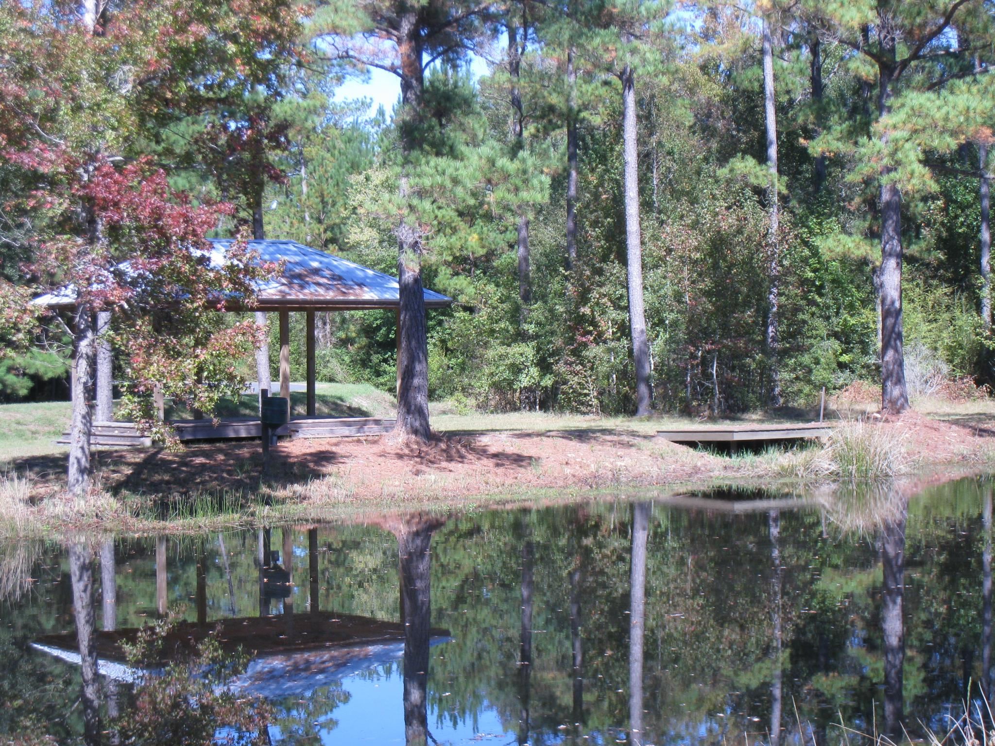 Ml King Boulevard, MIDWAY, Florida image 3