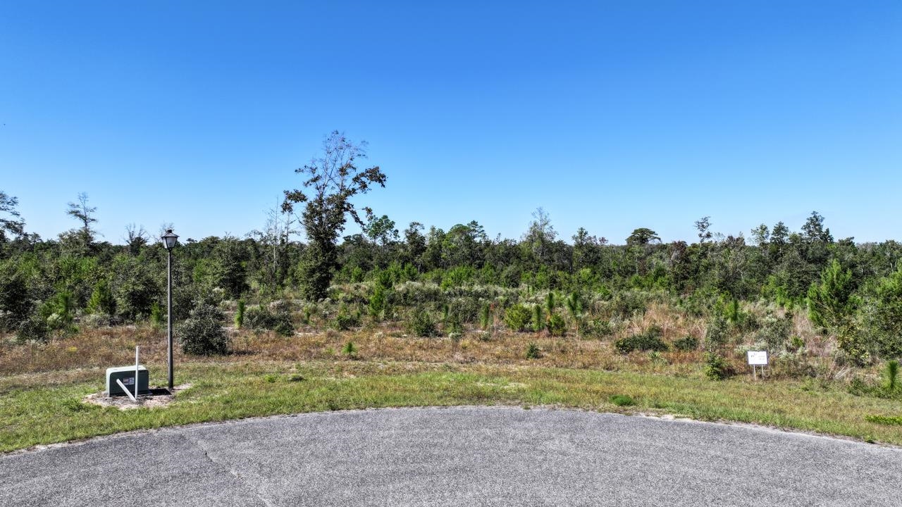 Lot 14 NW Short Branch Street, Bristol, Florida image 11