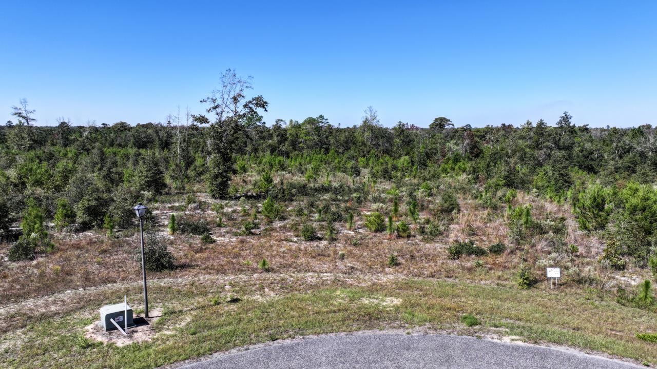 Lot 14 NW Short Branch Street, Bristol, Florida image 12