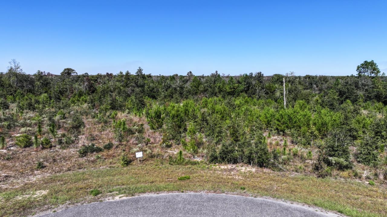 Lot 14 NW Short Branch Street, Bristol, Florida image 13