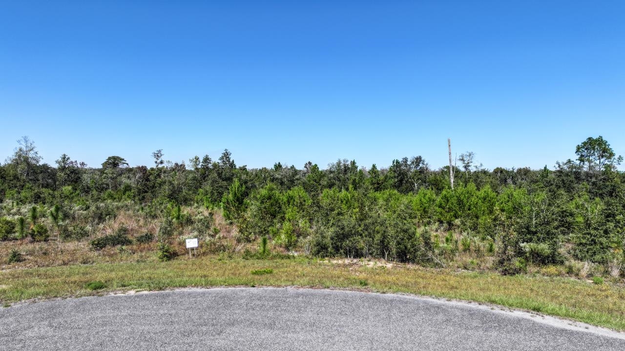 Lot 14 NW Short Branch Street, Bristol, Florida image 14