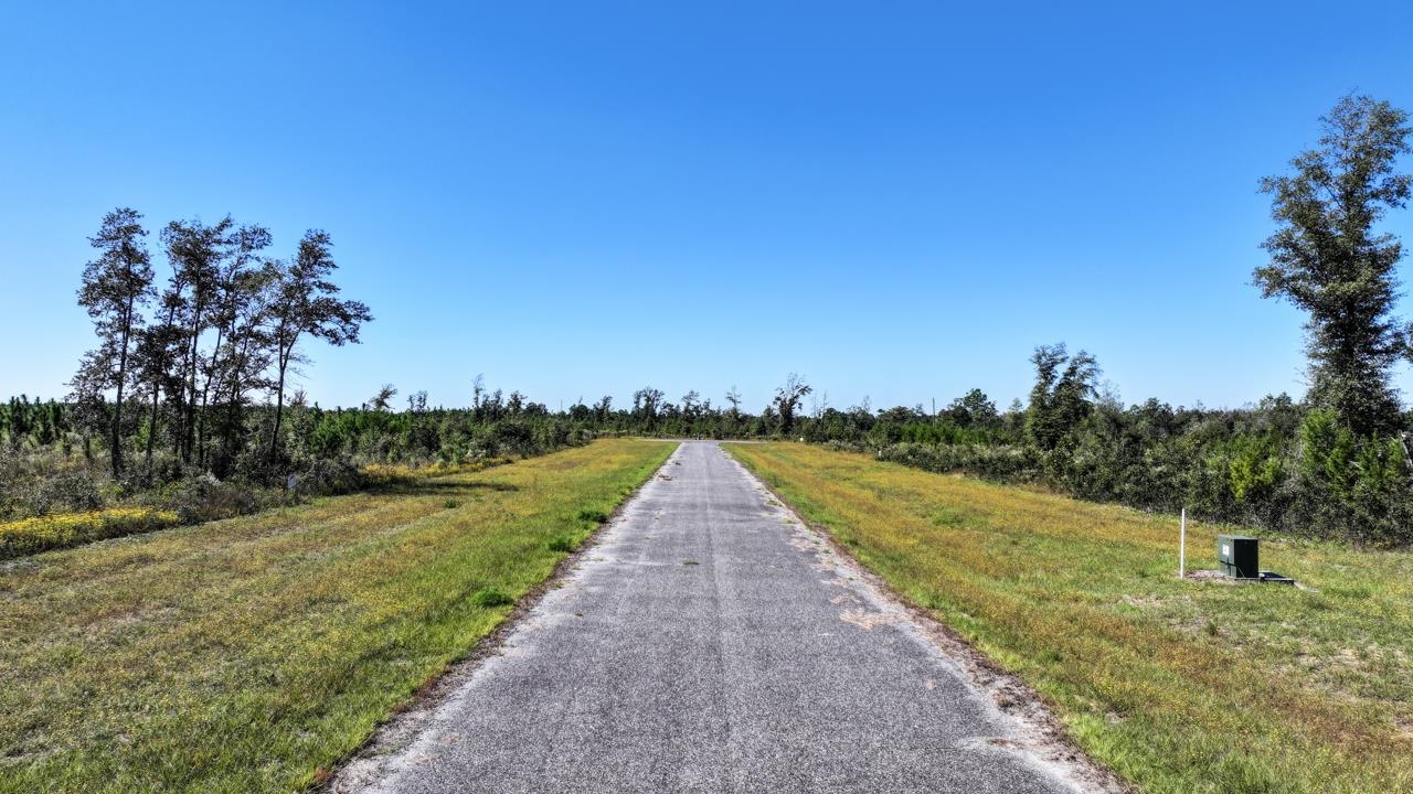 Lot 14 NW Short Branch Street, Bristol, Florida image 7