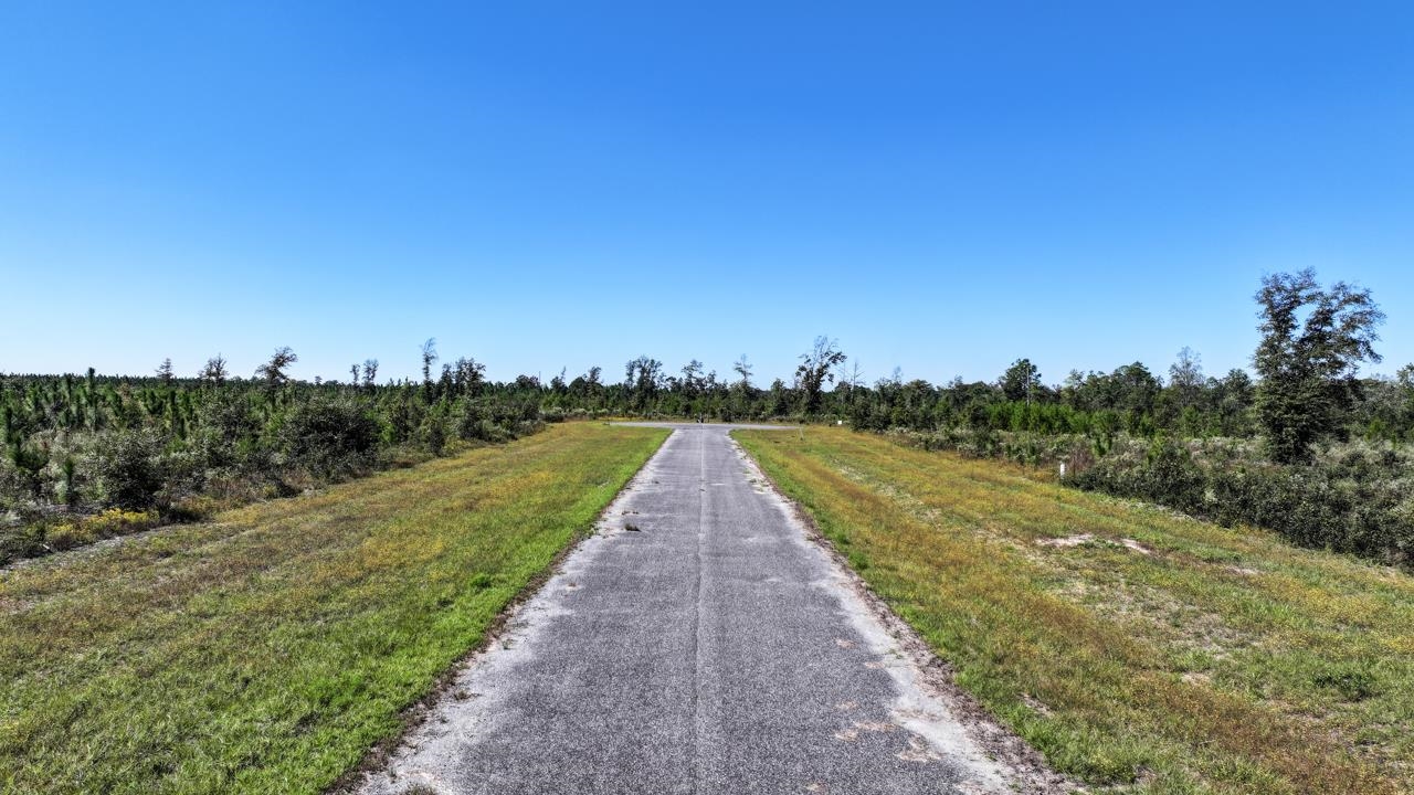 Lot 14 NW Short Branch Street, Bristol, Florida image 8