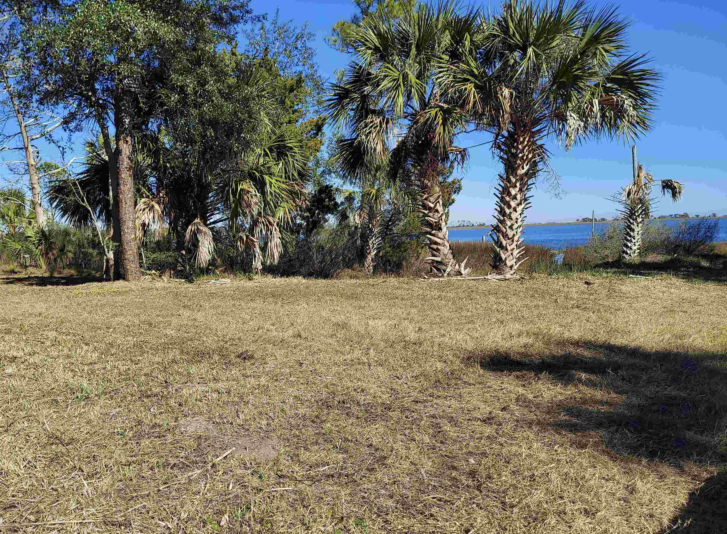 Lot 1 Paradise Lane, Panacea, Florida image 1