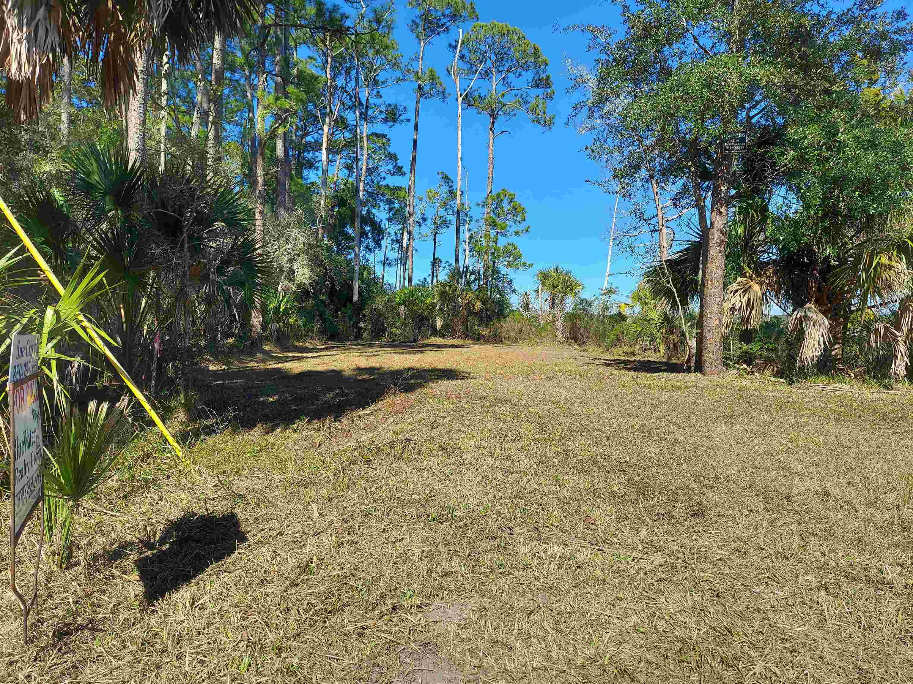 Lot 1 Paradise Lane, Panacea, Florida image 2