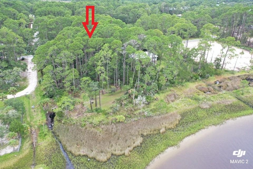 Lot 1 Paradise Lane, PANACEA, Florida image 2