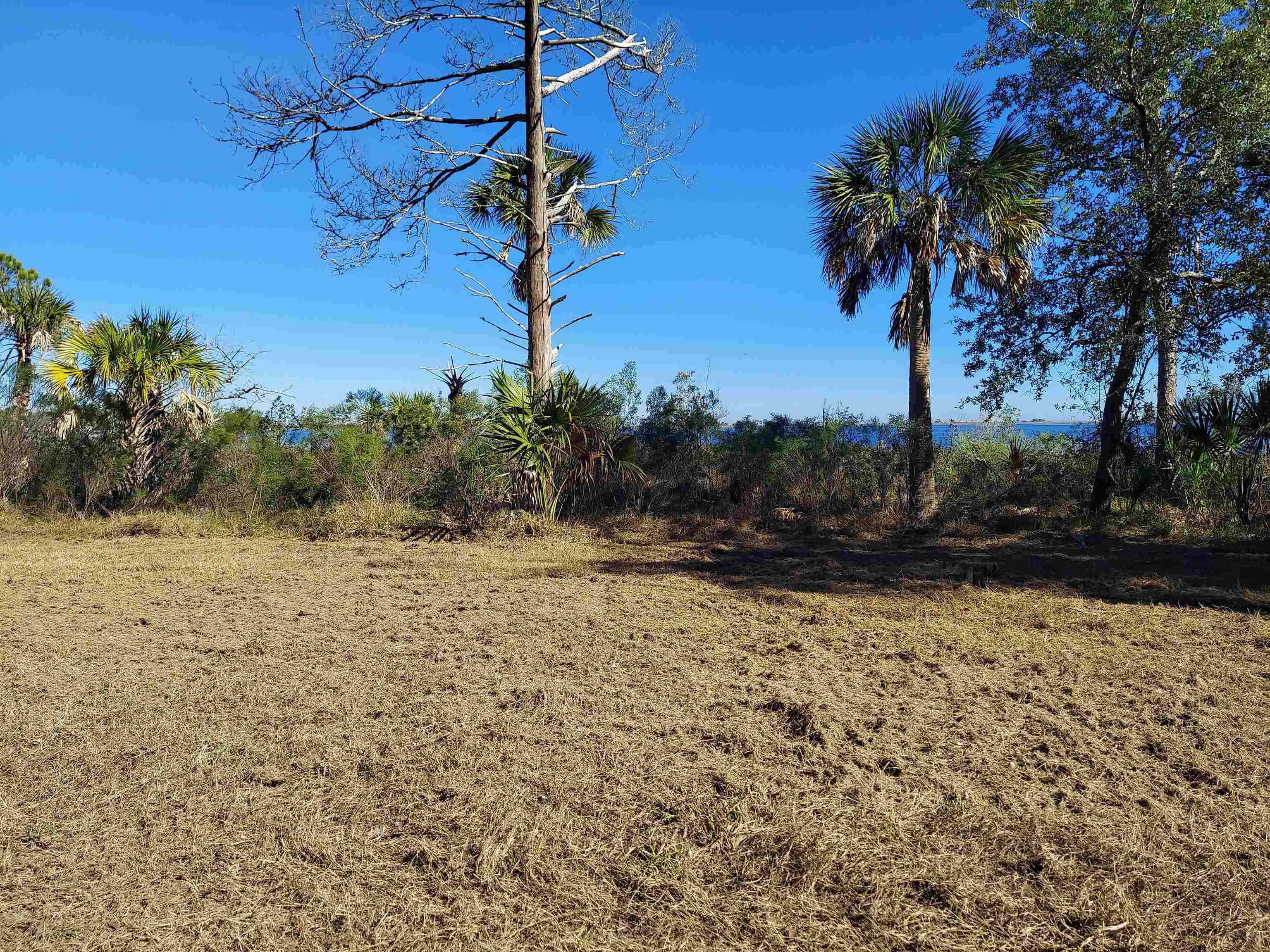 Lot 1 Paradise Lane, Panacea, Florida image 3