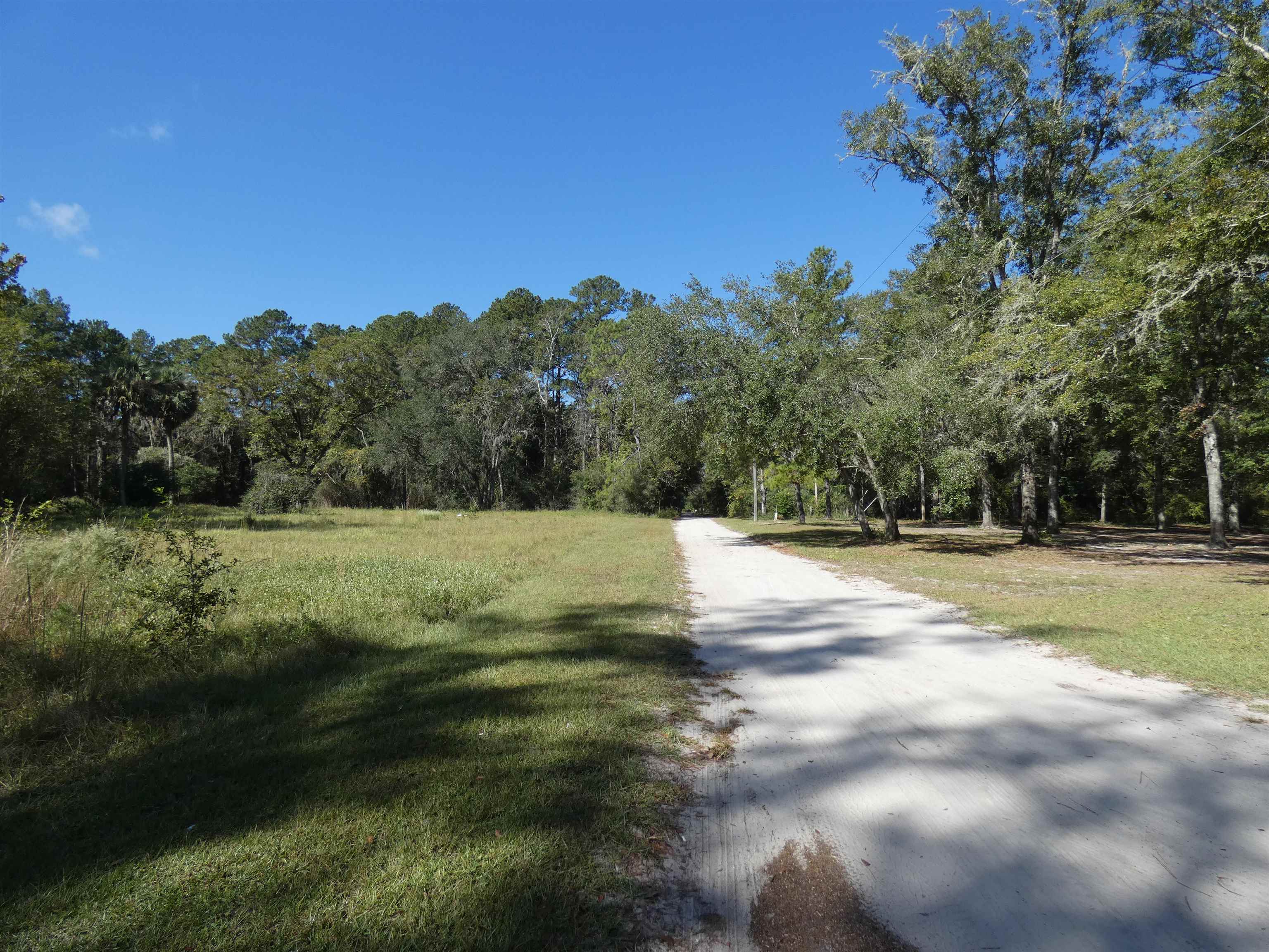 TBD Namon Spears Road, Crawfordville, Florida image 2