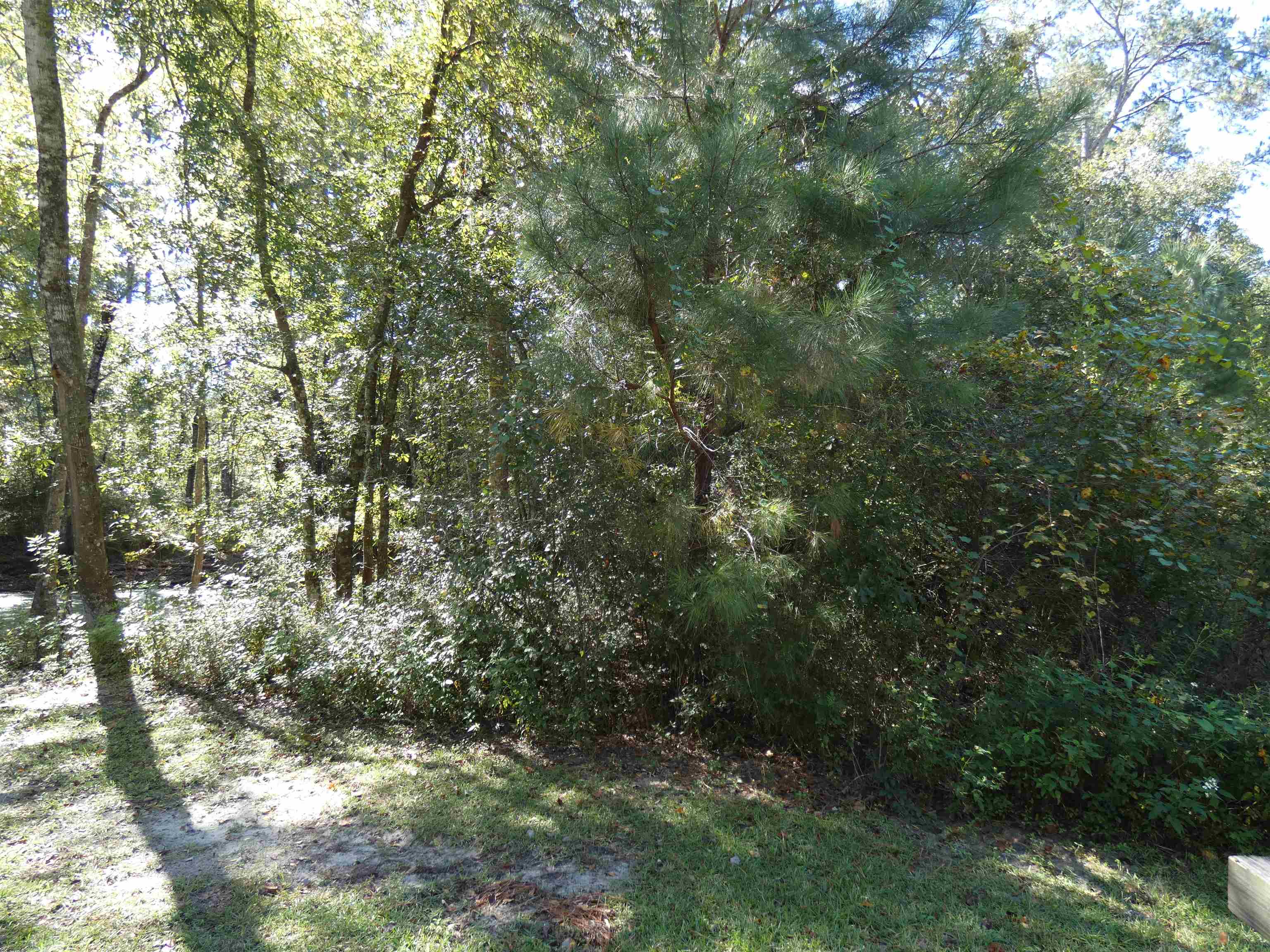 TBD Namon Spears Road, Crawfordville, Florida image 4