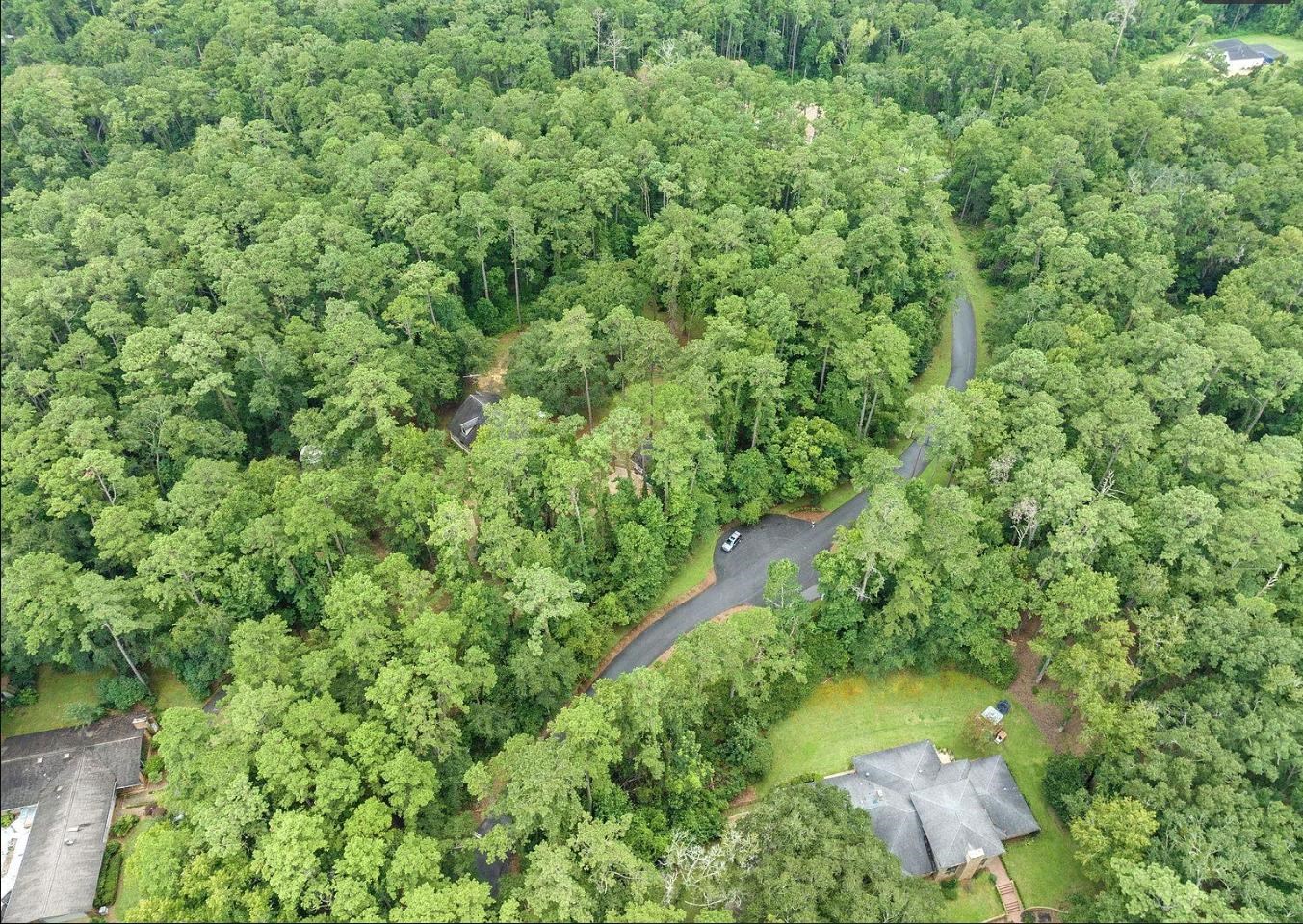 Lot 2 Moon Crest Lane, Tallahassee, Florida image 10