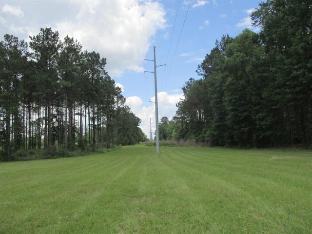 000 Cox Road, Monticello, Florida image 15