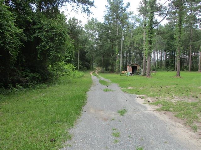 000 Cox Road, Monticello, Florida image 4