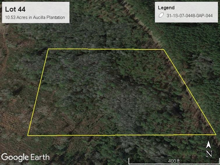 Lot 44 SW Ontario Road, GREENVILLE, Florida image 11