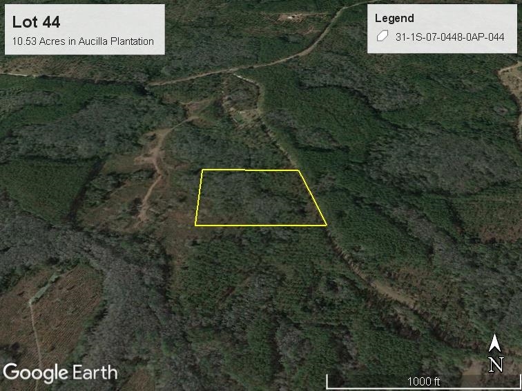 Lot 44 SW Ontario Road, GREENVILLE, Florida image 12