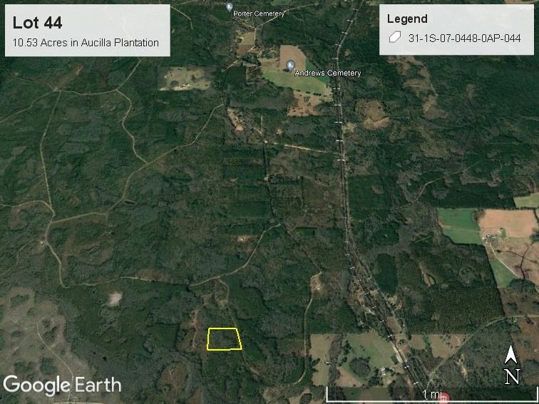 Lot 44 SW Ontario Road, GREENVILLE, Florida image 14