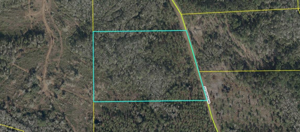 Lot 44 SW Ontario Road, Greenville, Florida image 15