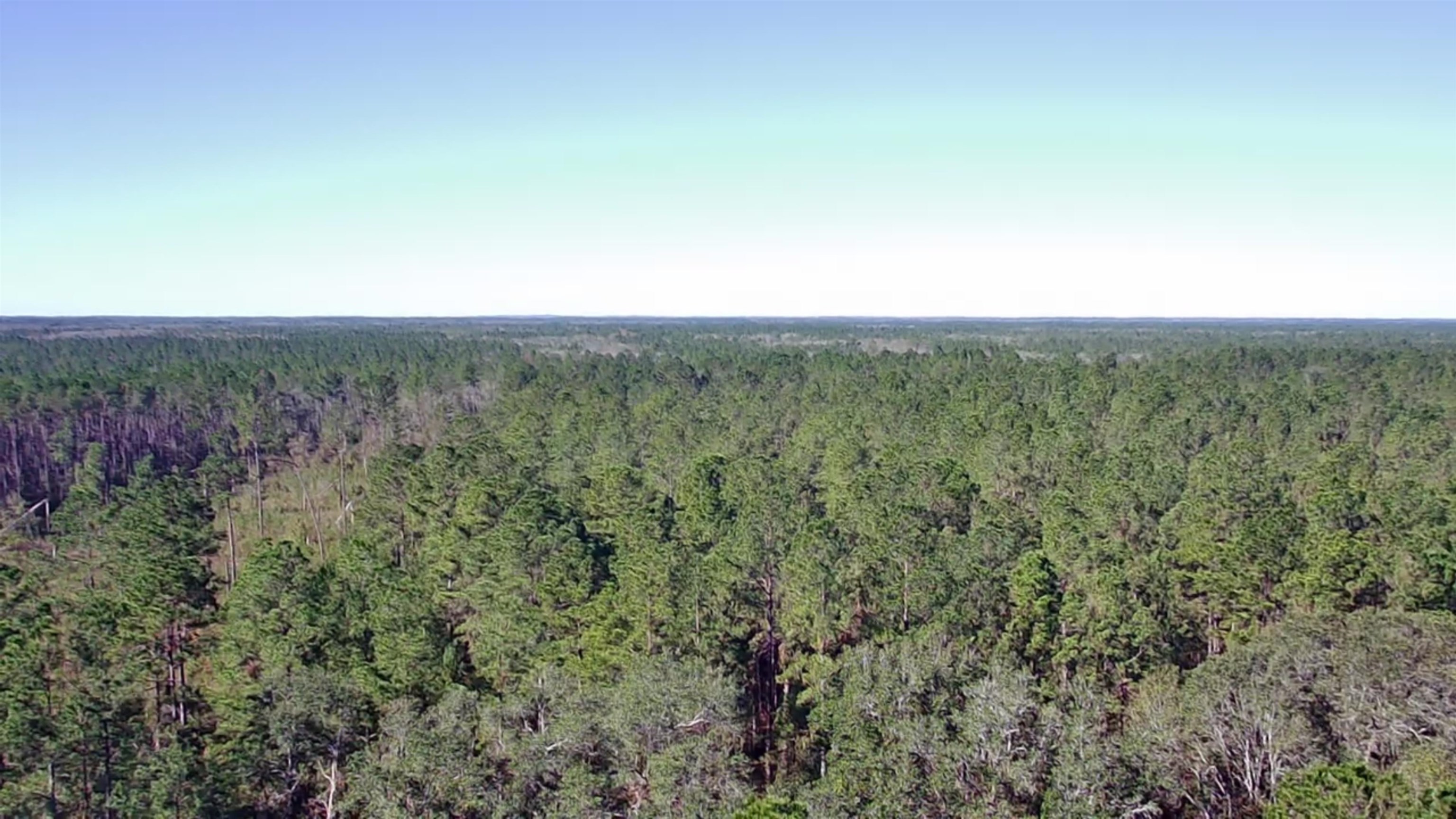 Lot 44 SW Ontario Road, Greenville, Florida image 17