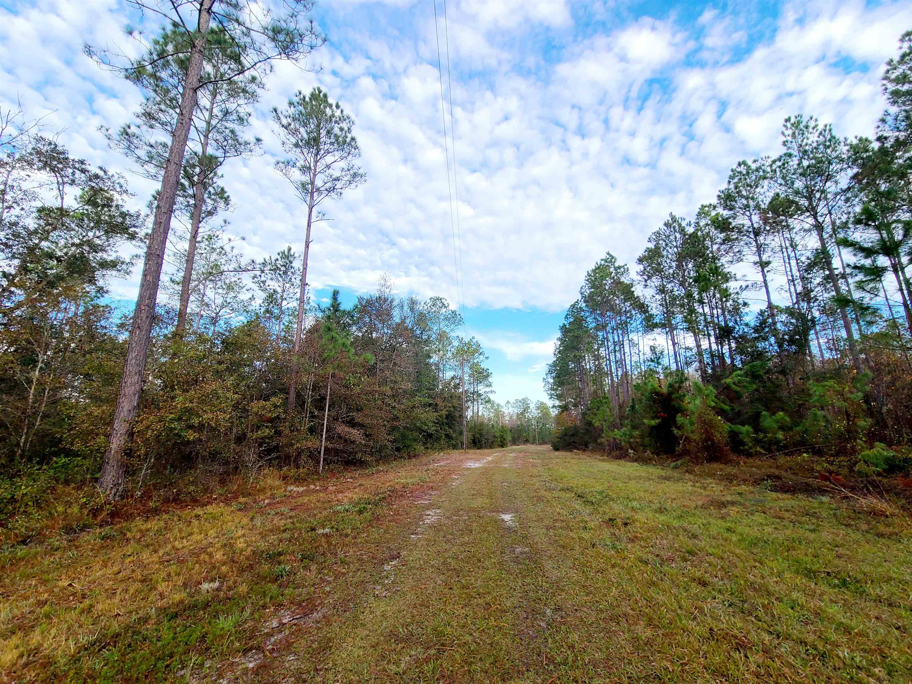 Lot 44 SW Ontario Road, GREENVILLE, Florida image 4