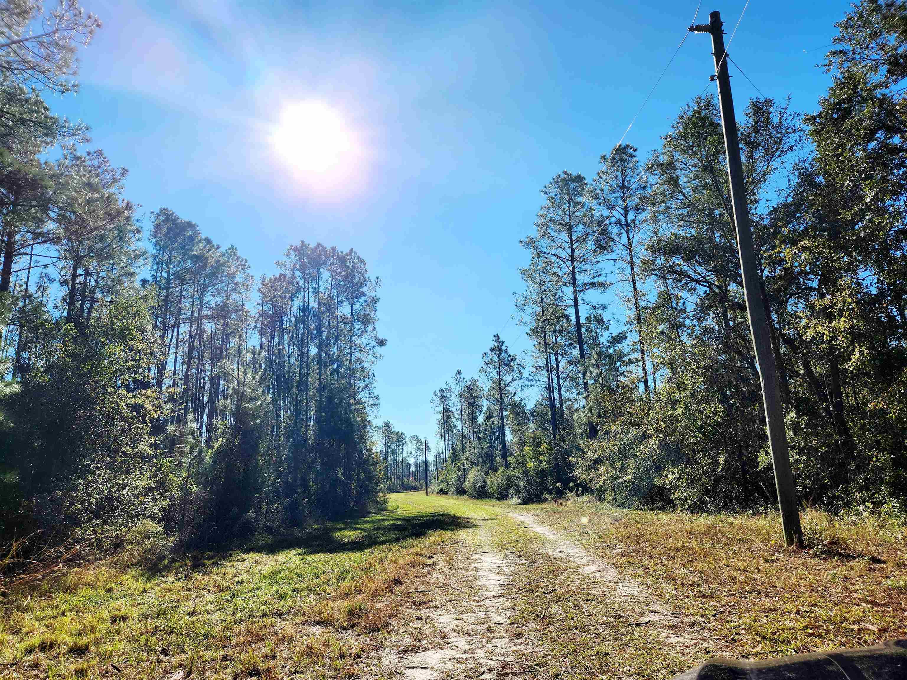 Lot 44 SW Ontario Road, Greenville, Florida image 5