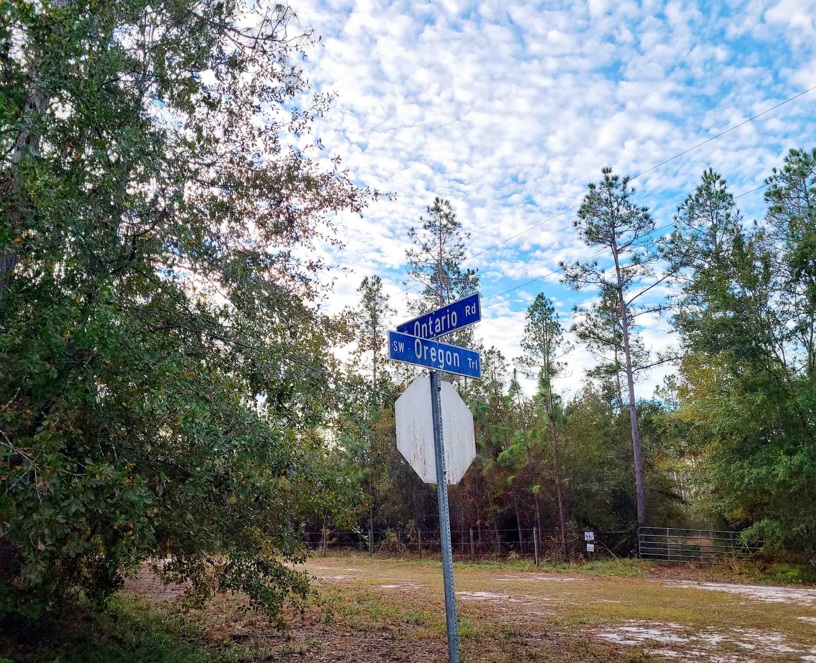 Lot 44 SW Ontario Road, GREENVILLE, Florida image 7