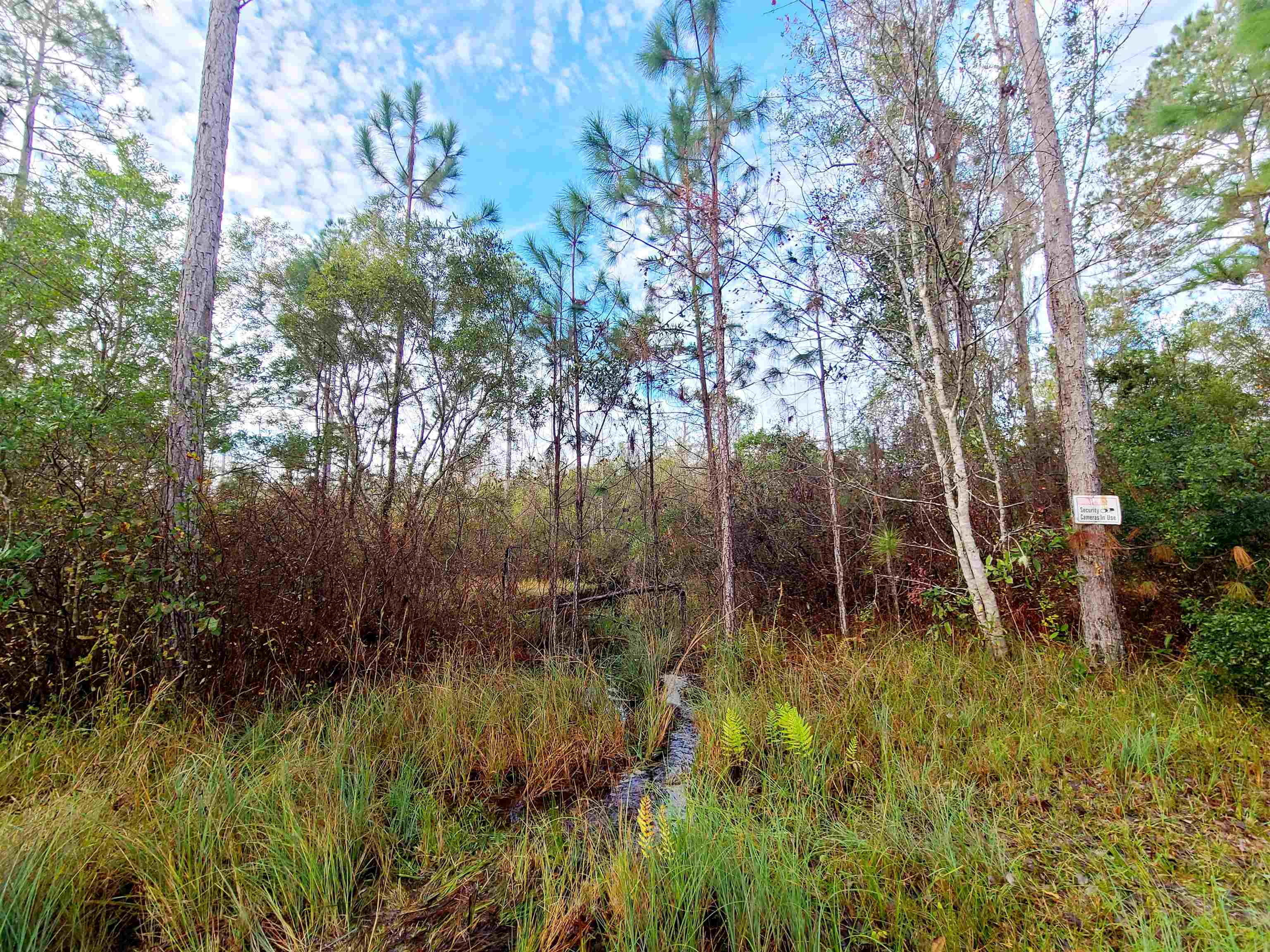 Lot 44 SW Ontario Road, GREENVILLE, Florida image 9