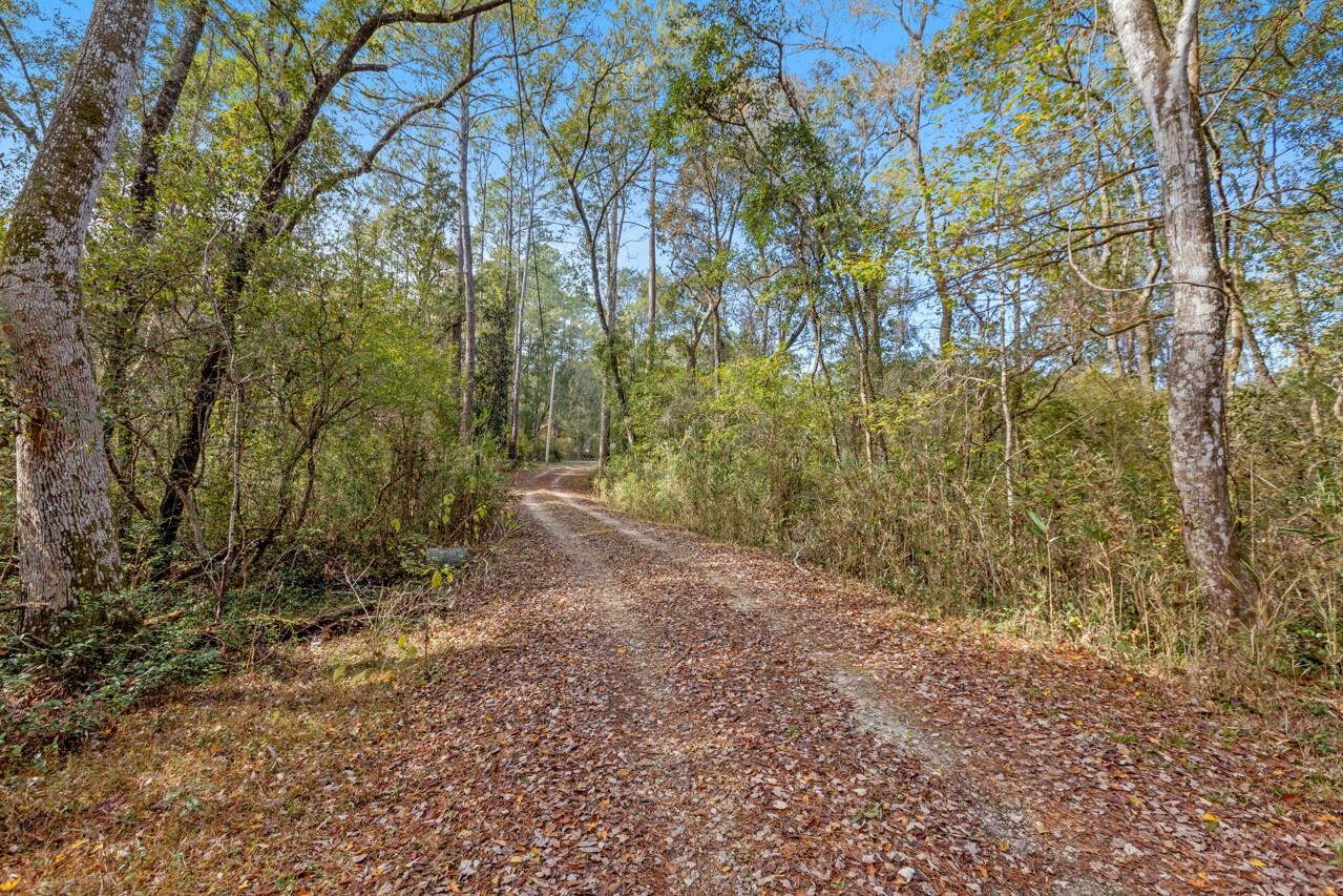 145 Crescent Moon Trail, SOPCHOPPY, Florida image 41